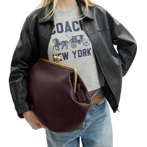 NWT Coach Kisslock Frame Bag - Picture 1 of 11